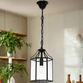 Arcadia 1 light Pendant