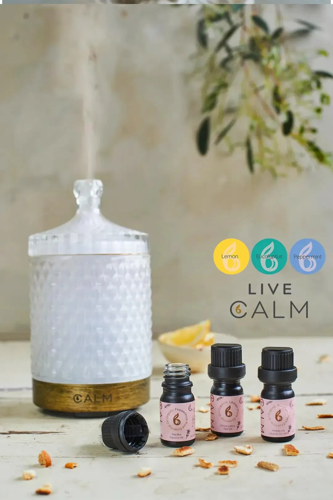 Aroma Diffuser With Our Live Calm Oil Set