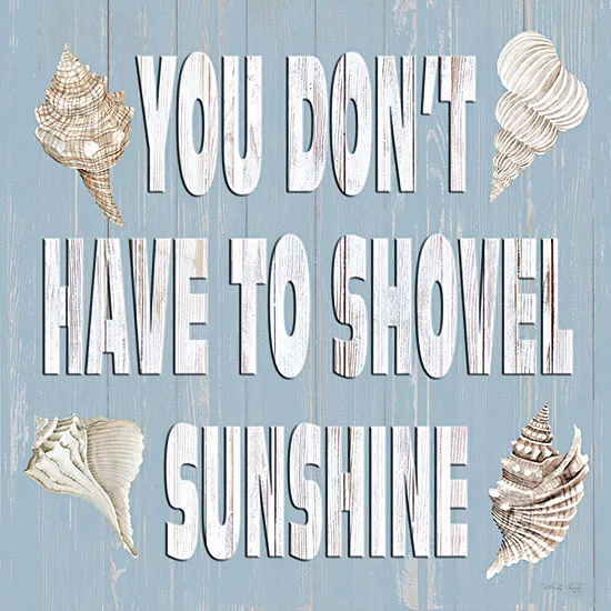 CIN3953 - You Don't Have to Shovel Sunshine - 12x12