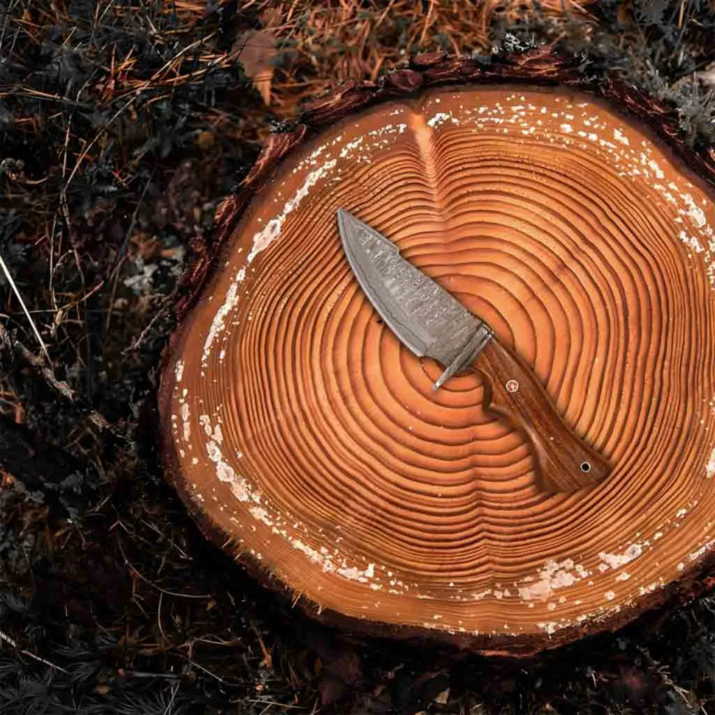 Damascus Bobcat Skinning Knife with Twisted Pattern & Ash Wood Handle