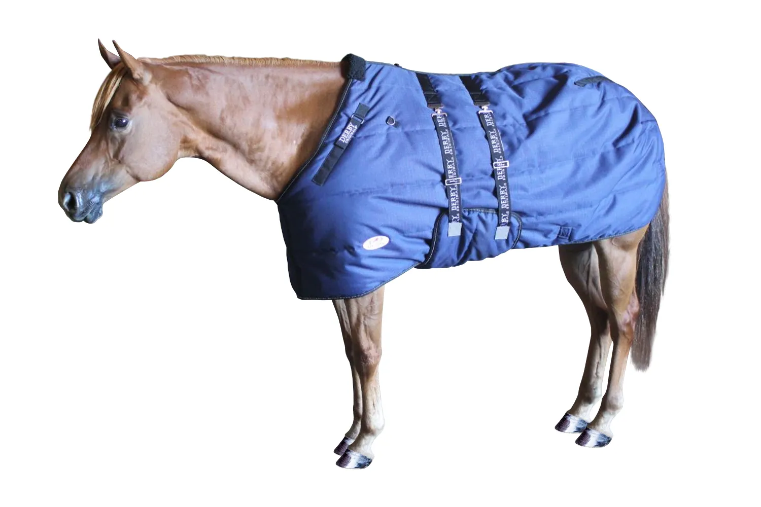 Derby Originals Nordic Tough Closed Front 1200D Reflective Winter Horse Stable Blanket 300g Heavy Weight 1 Year Warranty