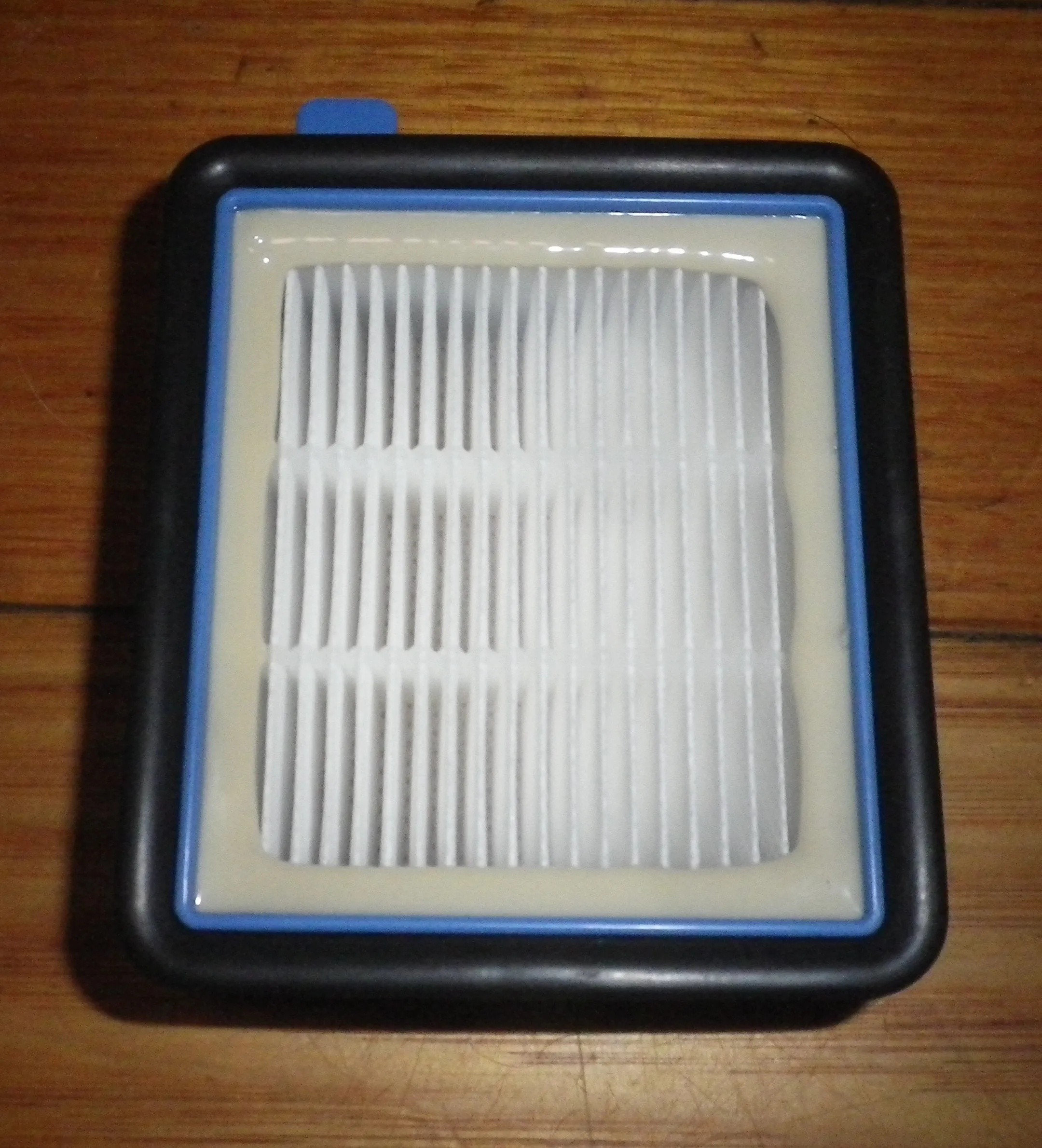 Electrolux Bacchus WQ71 Series Hepa Filter - Part # 140117409031