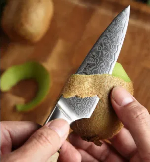 Fruit Knife Household Peel Knife Kitchen Slicing Knife