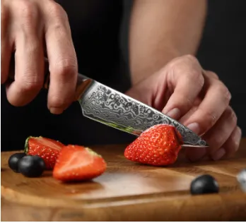 Fruit Knife Household Peel Knife Kitchen Slicing Knife