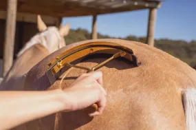 Hairy Pony Sweat Gold Scraper