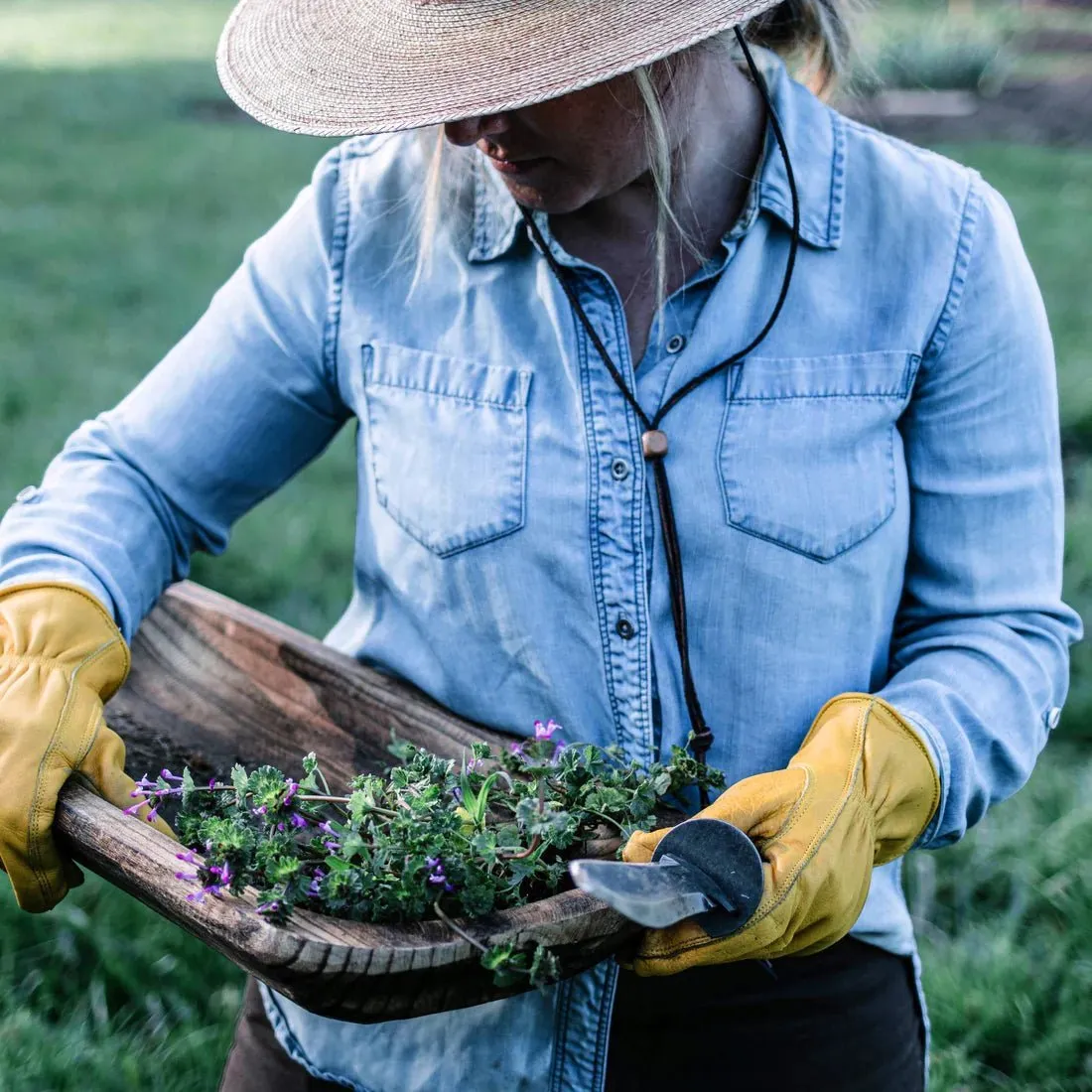 Hori Hori Ultimate Gardening Tool