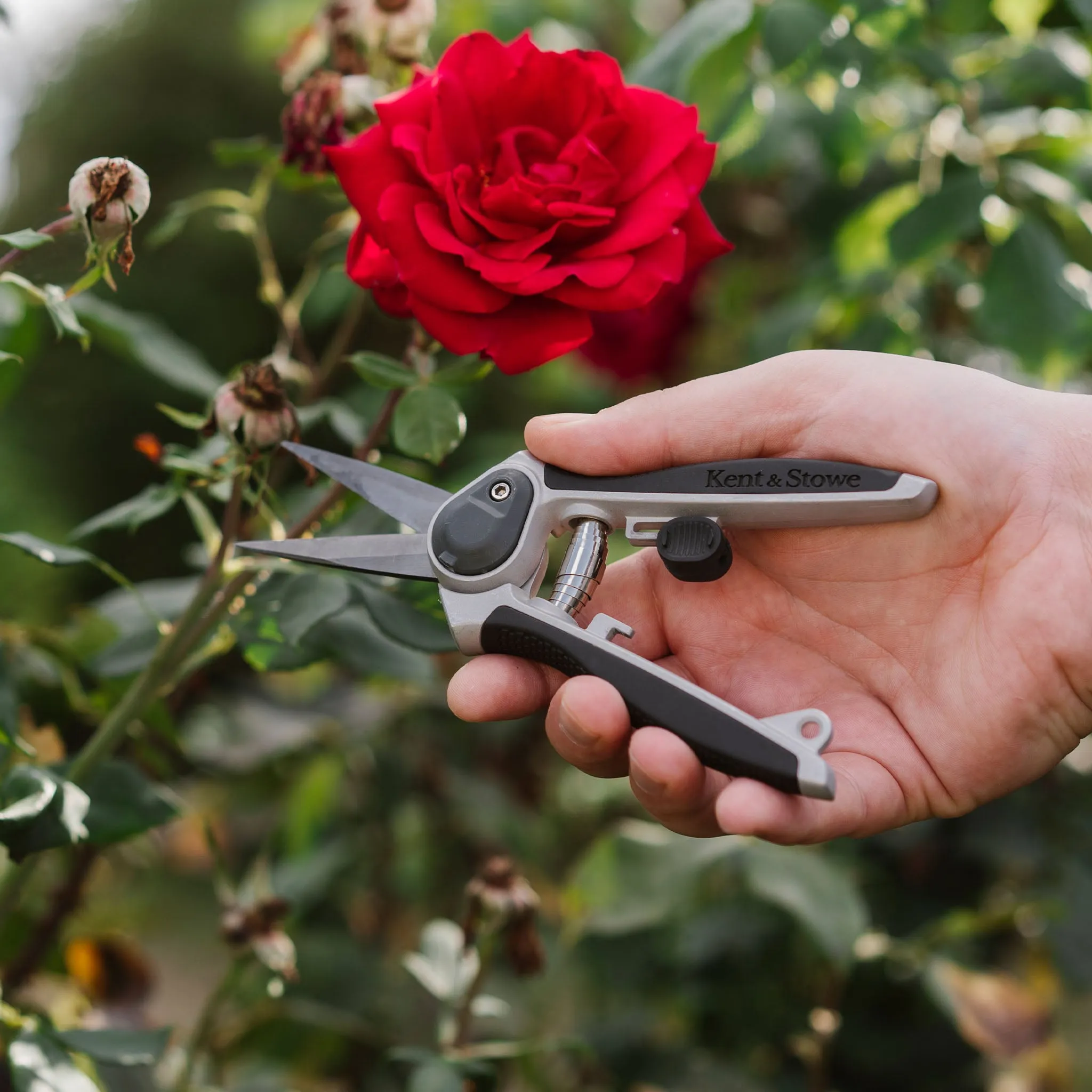 Kent & Stowe Eversharp Garden Snips