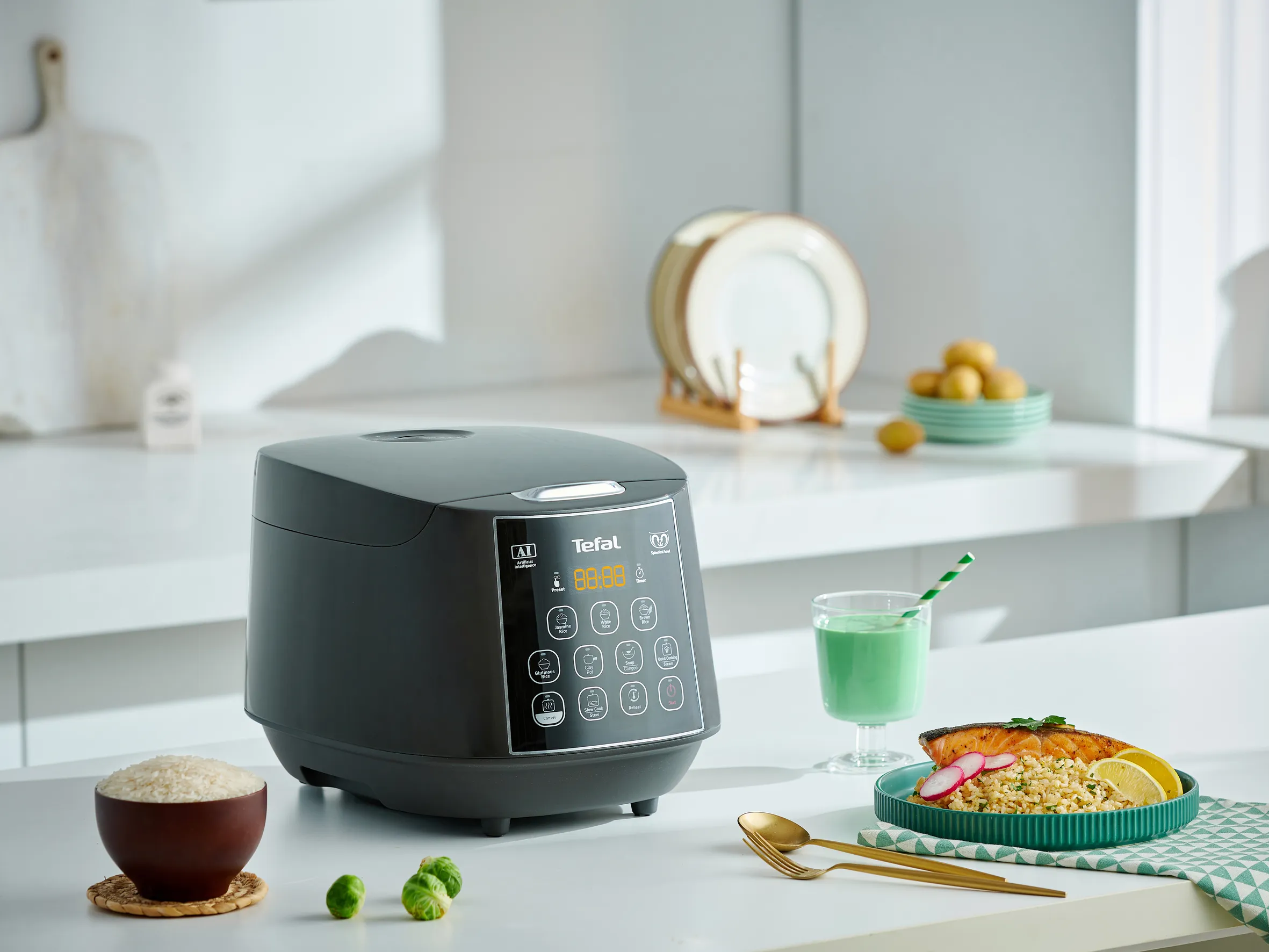 Tefal Easy Rice & Slow Cooker Plus RK736