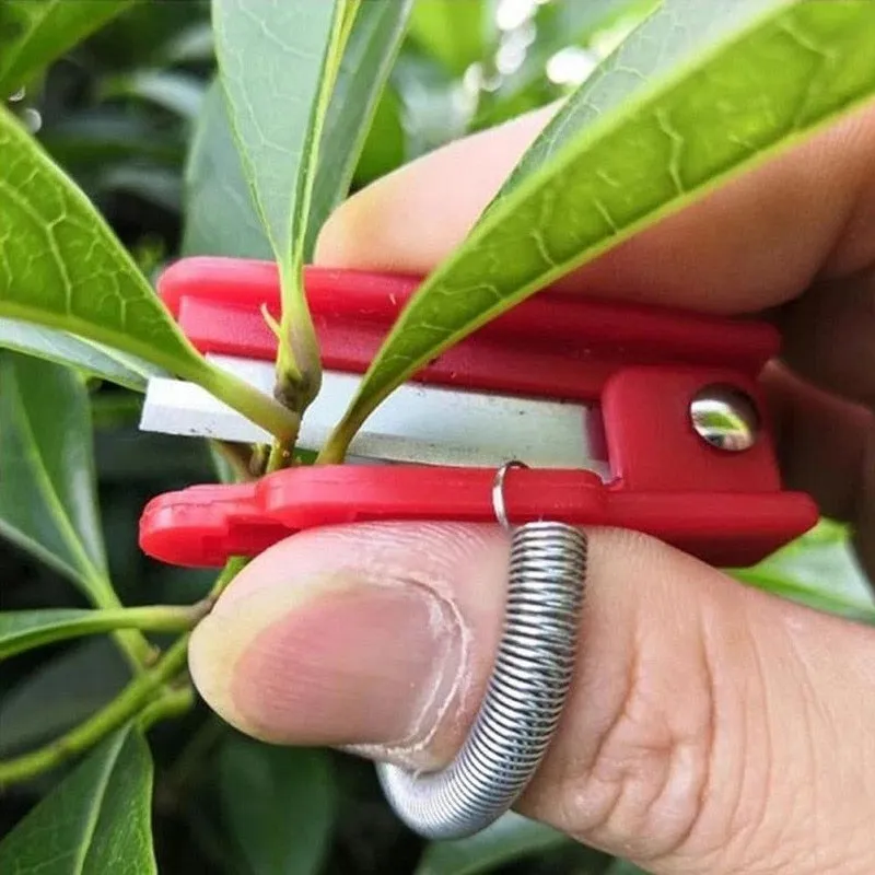 Vegetable Harvesting & Pruning Knife Tool