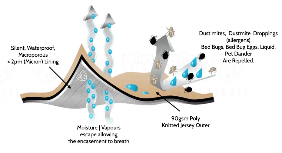 Waterproof Dust Mite and Allergy Quilt Protector With Zipper | Encasement