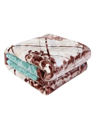 WINSTON HOME Cloudy Super Soft Fabric Floral Printed Heavyduty Luxury Ultra 2 Ply Double Blanket for Winters with English Colors & Stylish Bag Packing (Pack of 1) (P-10)